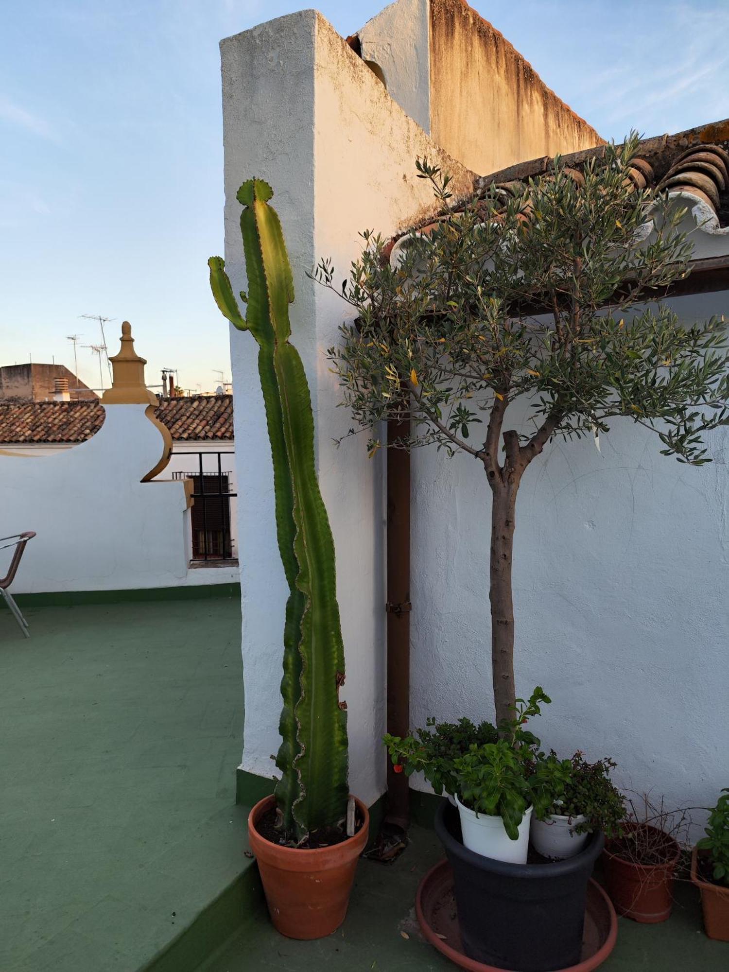 Casa Paliani Holiday home *