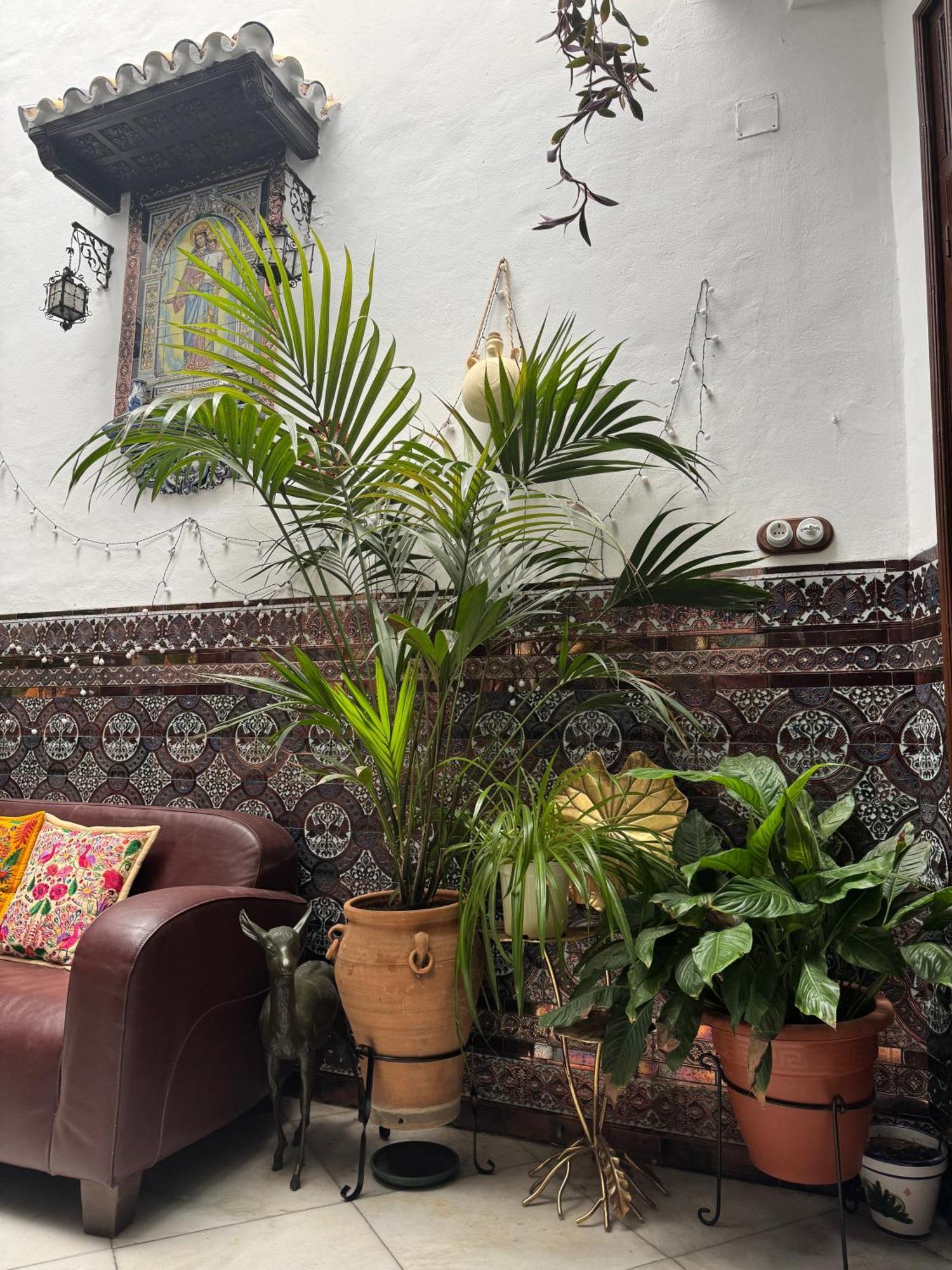 Casa Paliani Holiday home